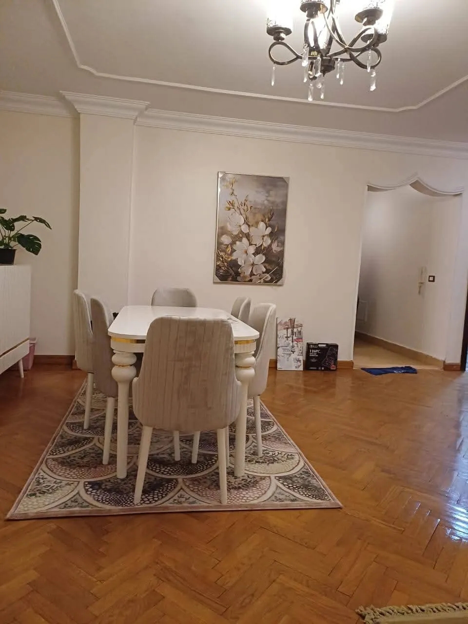 Modern Cozy Furnished Apartment For Rent in Sarayat Al Maadi Cairo Egypt