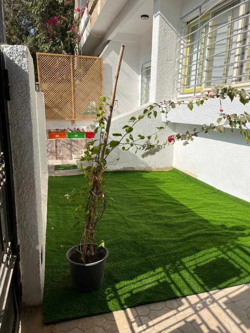 Sunny Furnished Ground Floor With Garden For Rent in Maadi Sarayat Cairo Egypt