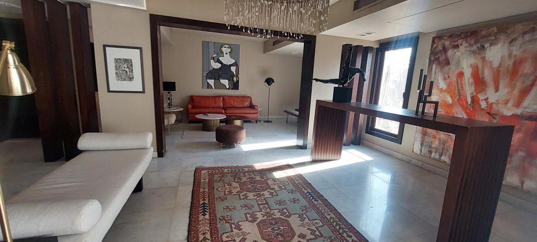 MODERN FURNISHED APARTMENT FOR RENT IN MAADI DEGLA CAIRO EGYPT