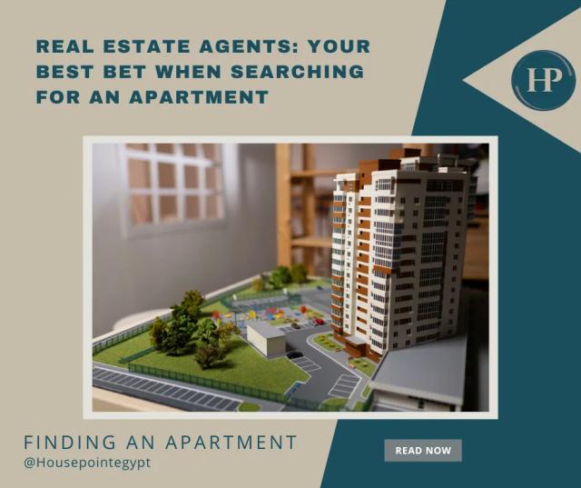 Real Estate Agents: Your Best Bet When Searching for an Apartment