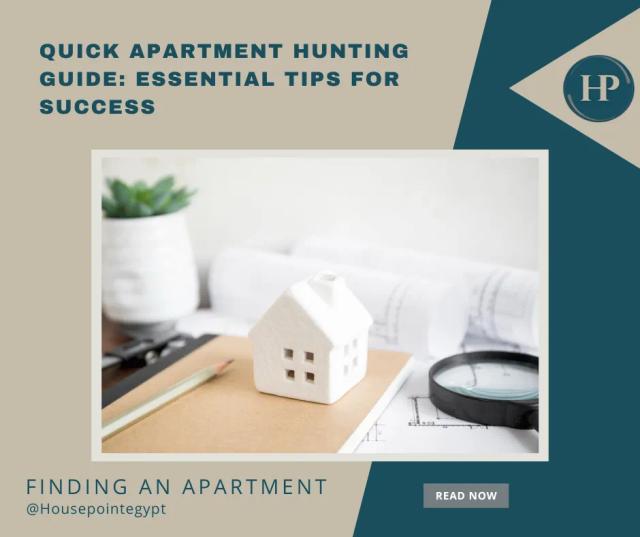 Quick Apartment Hunting Guide: Essential Tips for Success