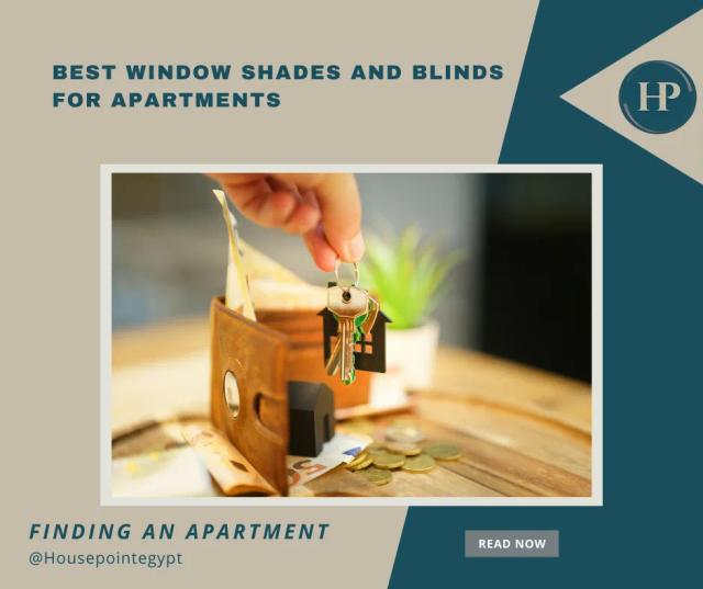 Best Window Shades and Blinds for Apartments