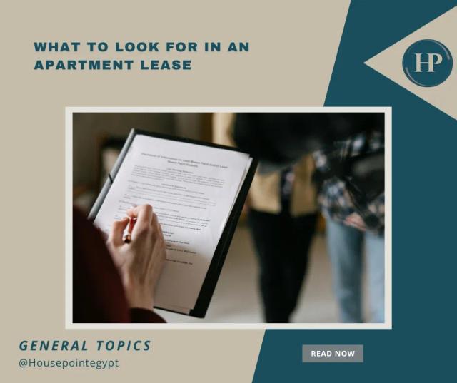 What to Look for in an Apartment Lease